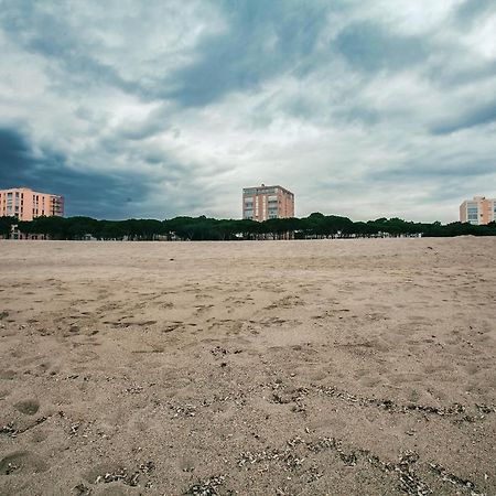 Studio Les Pieds Dans L'Eau Argeles Sur Mer Luaran gambar