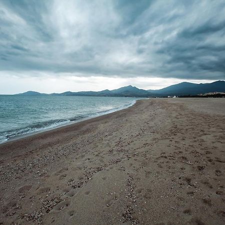 Studio Les Pieds Dans L'Eau Argeles Sur Mer Luaran gambar