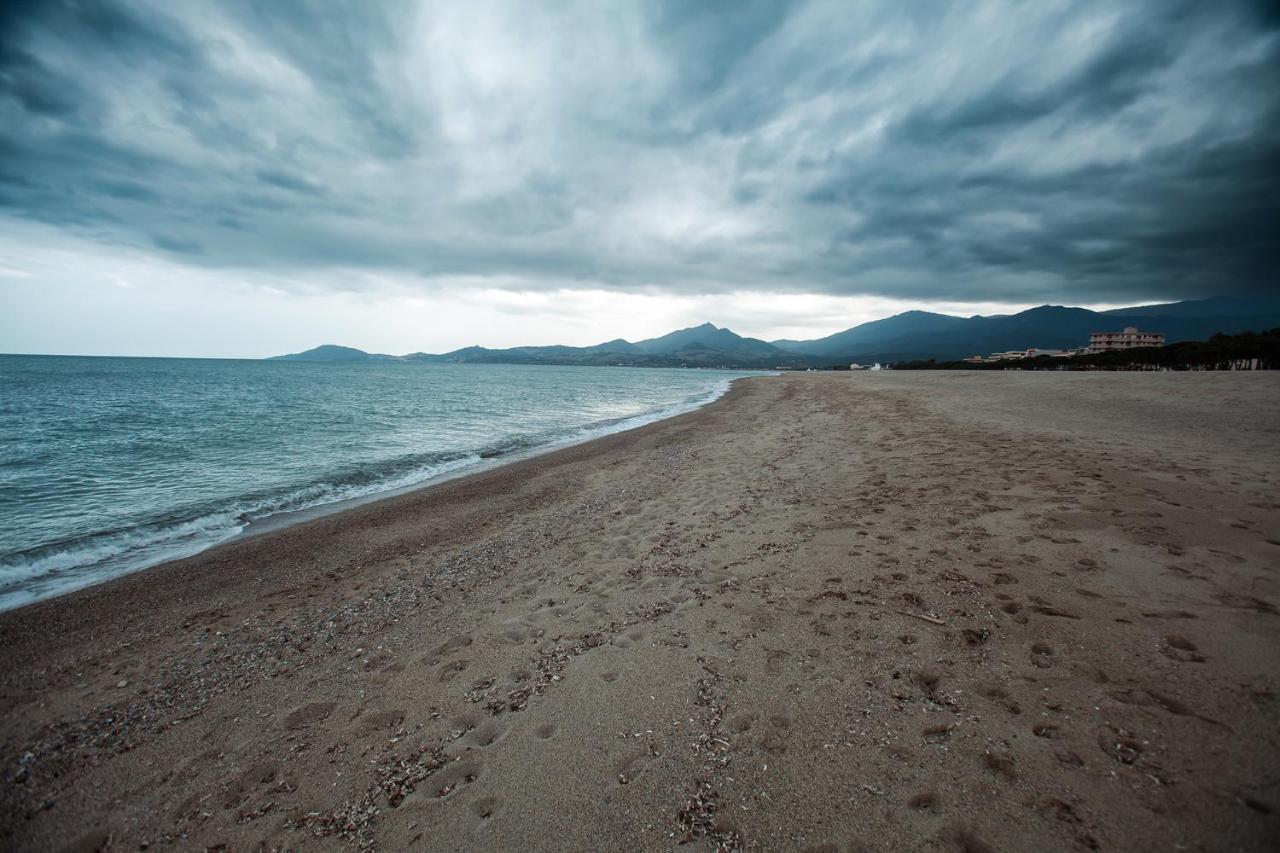 Studio Les Pieds Dans L'Eau Argeles Sur Mer Luaran gambar