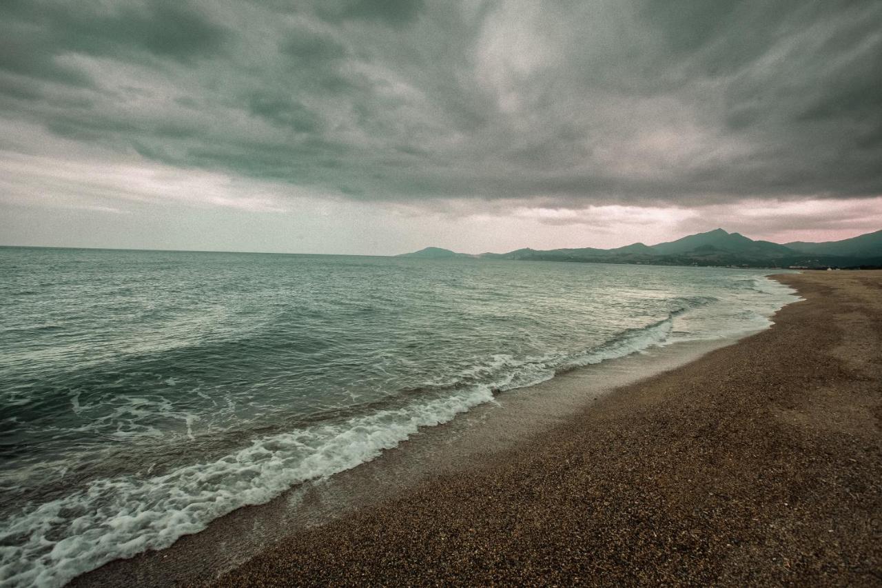 Studio Les Pieds Dans L'Eau Argeles Sur Mer Luaran gambar