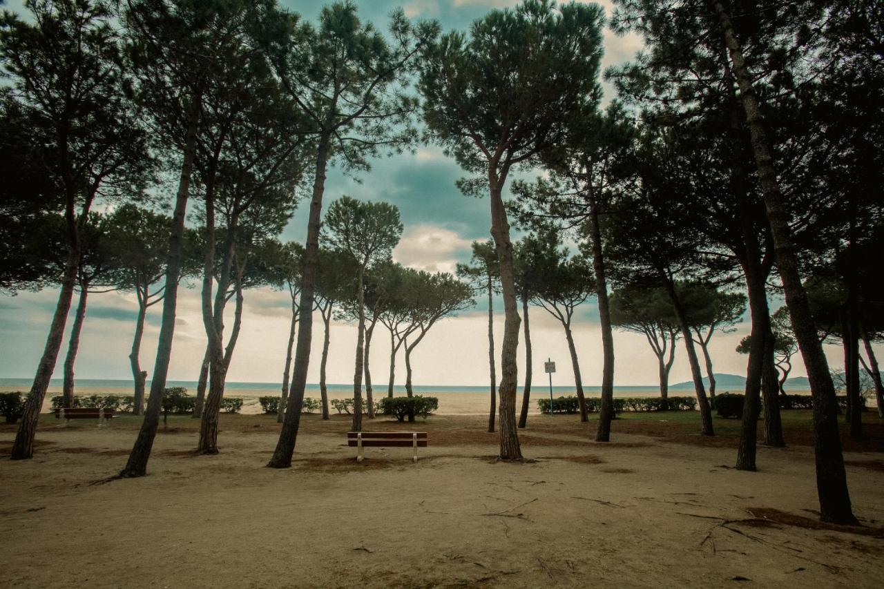 Studio Les Pieds Dans L'Eau Argeles Sur Mer Luaran gambar